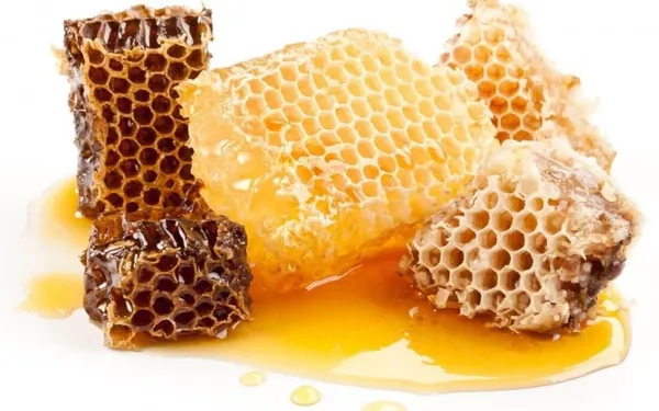 Интернет вещей для пчел: ученые УУНиТ участвуют в создании «умного дома» для медоносных насекомых